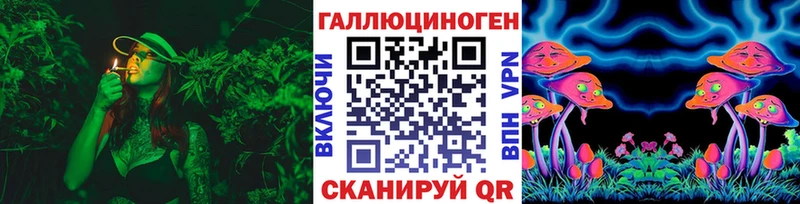 Галлюциногенные грибы Psilocybe Анжеро-Судженск